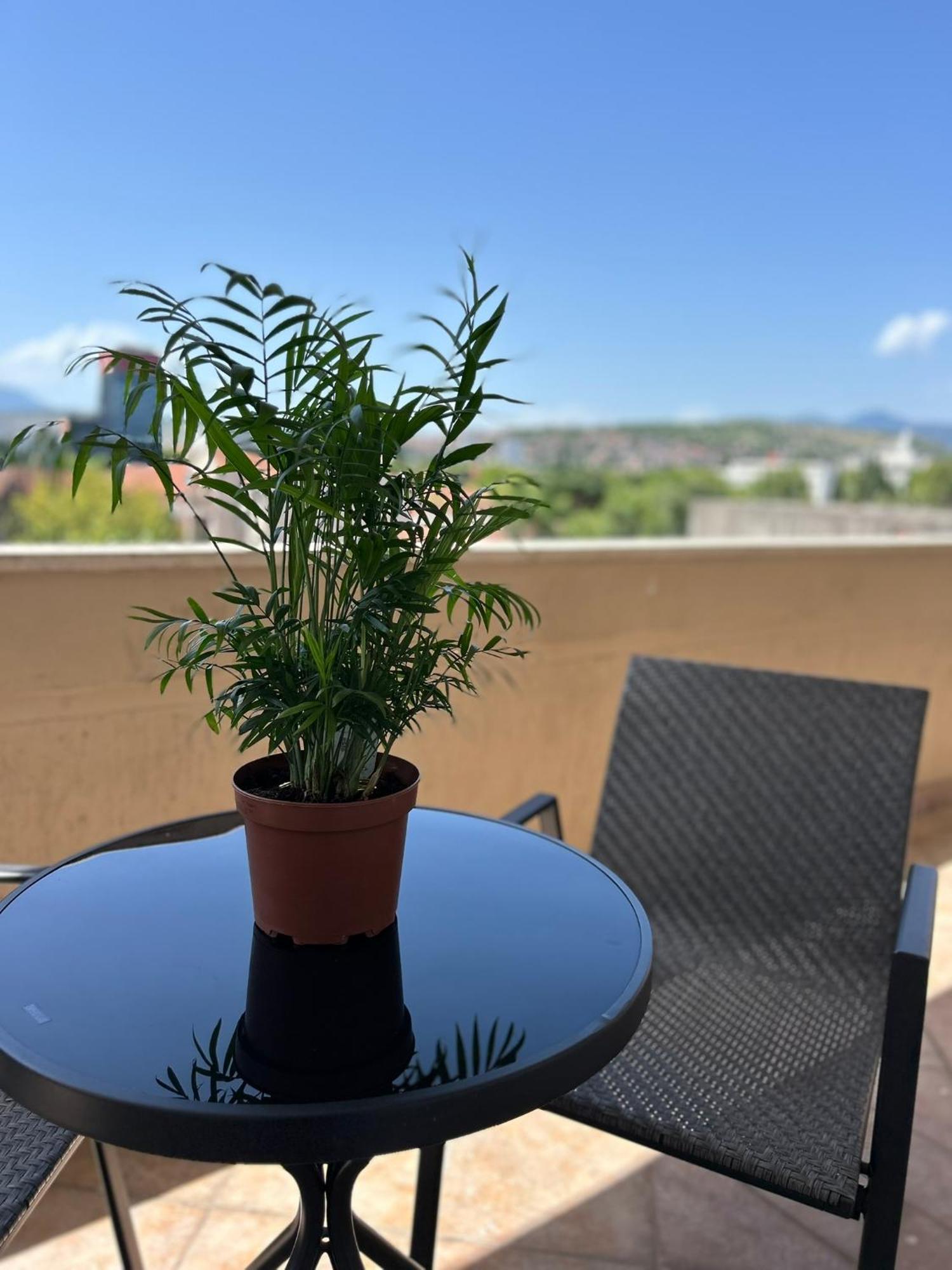 Hotel Bojatours Podgorica Eksteriør bilde